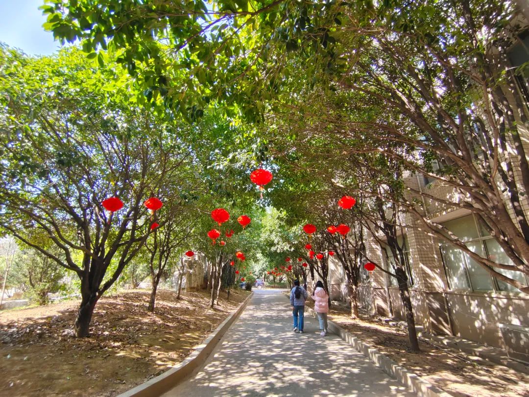微信图片_20230206094532.jpg
